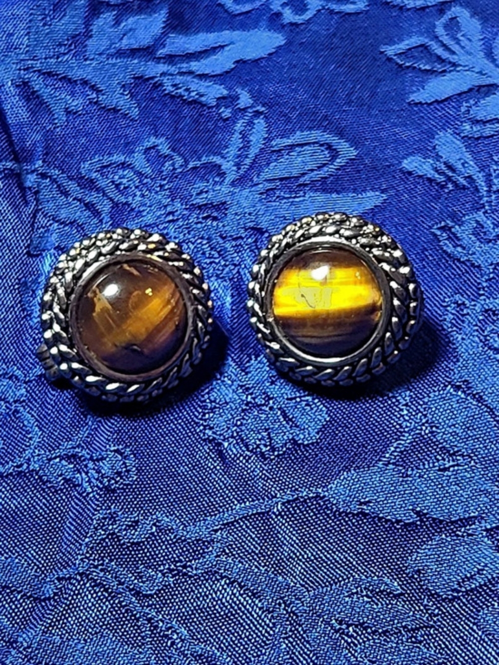 Tiger Eye Clip-On Earrings in Brown